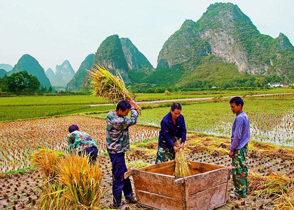 11 Days Beijing - Xi'an - Guilin - Yangshuo - Guilin - Shanghai